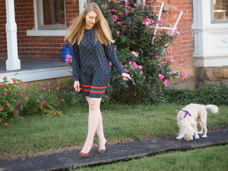 LOFT Fireworks Drop Waist Shirtdress