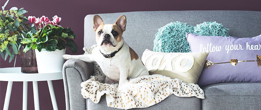 kohls home decor. living room furniture. kohls home decor kohls home decor. living room furniture. kohls home decor