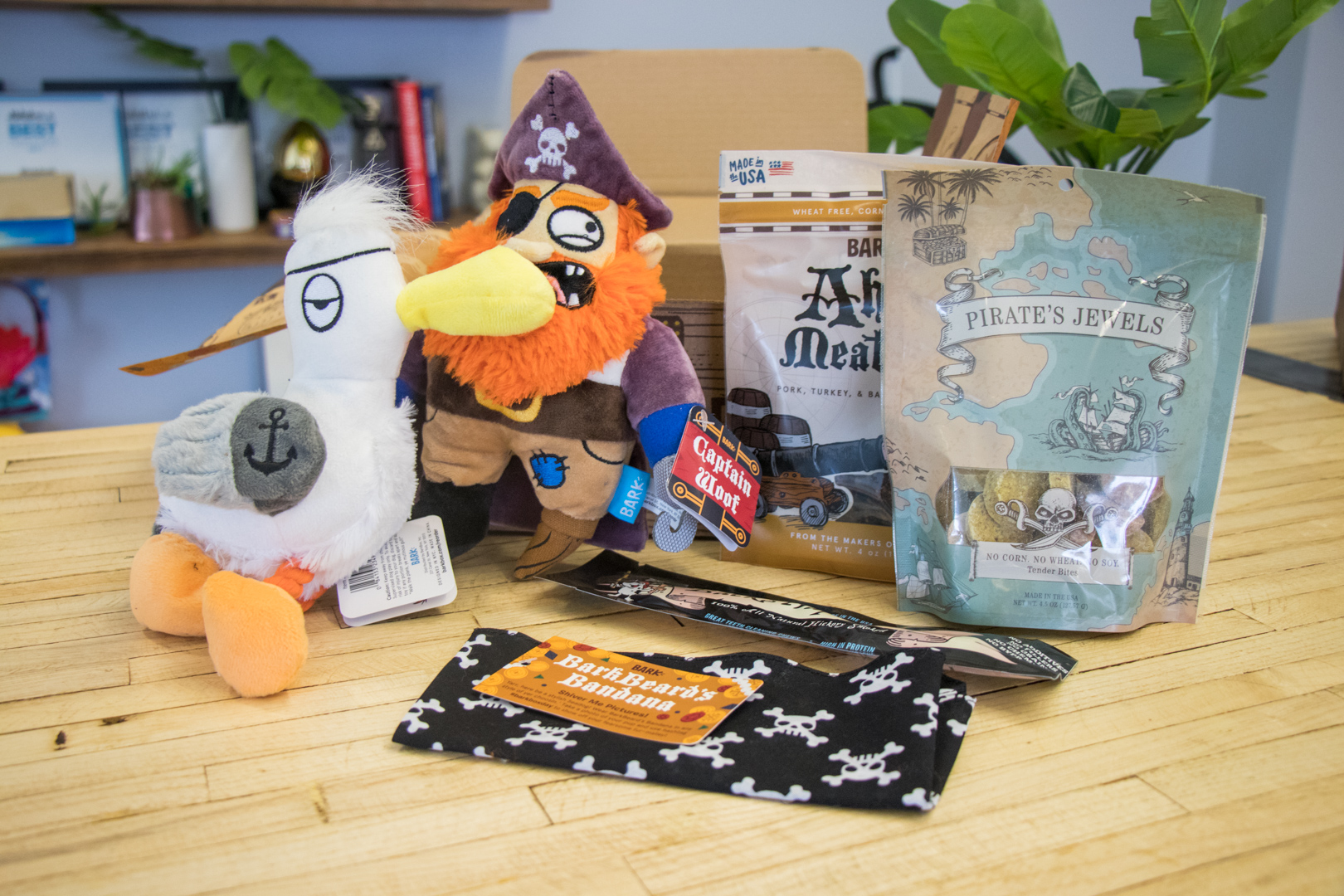 monthly barkbox