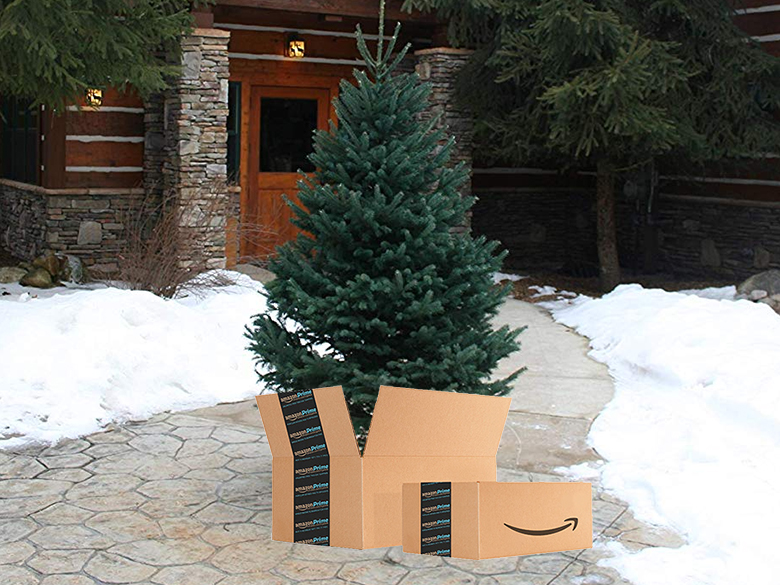 Amazon Now Sells Live Christmas Trees With Prime Delivery