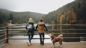 a couple and their dog look at the view