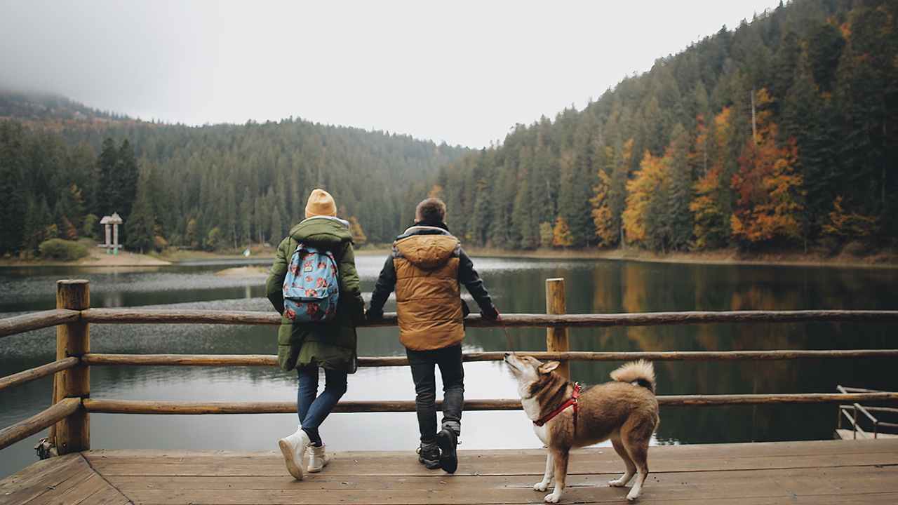 a couple and their dog look at the view