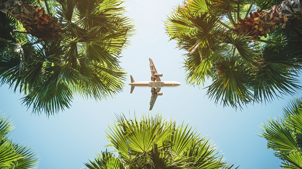 tropical travel