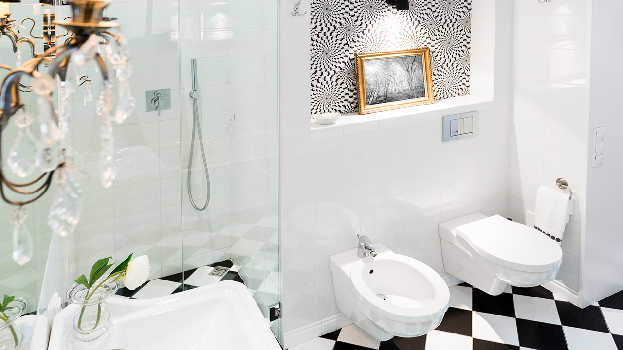 bidet-bathroom-black-white