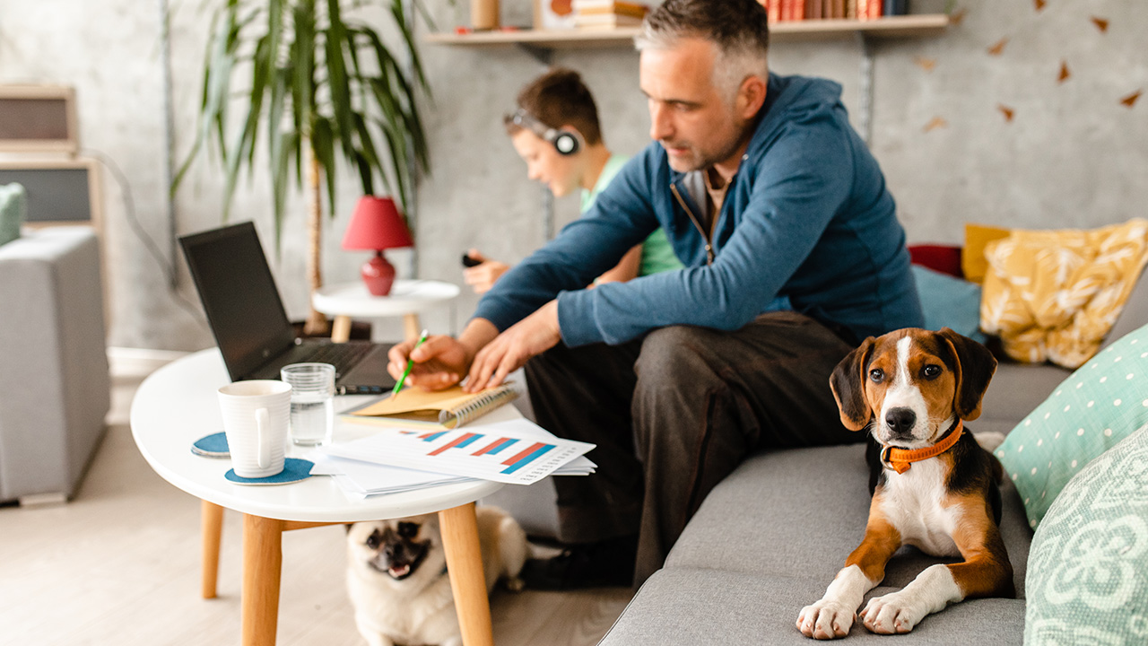 working with pets at home
