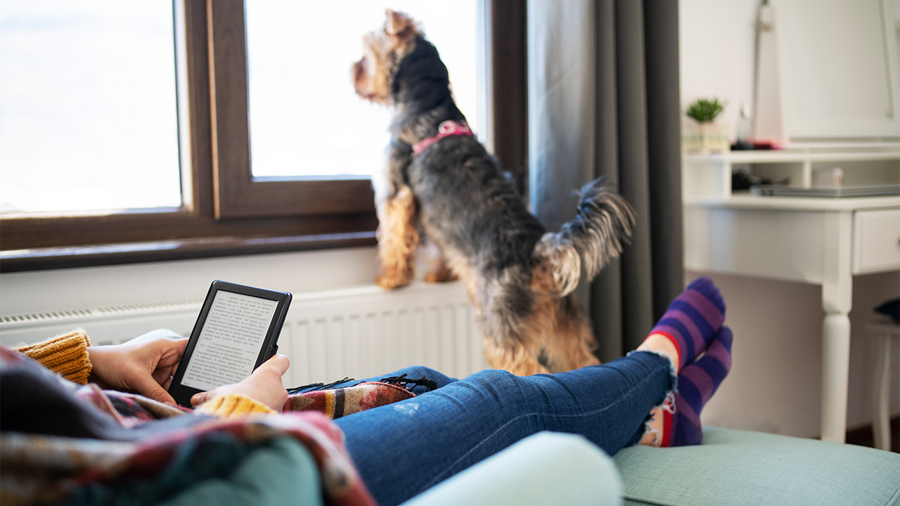 hero-iStock-ArtistGNDphotography Woman Reading E-Book At Home dog window socks relaxed ebook kindle
