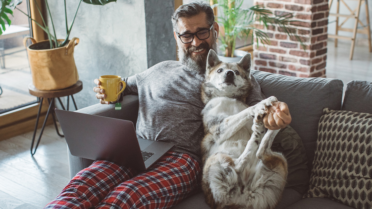 sitting on the living room couch with pet