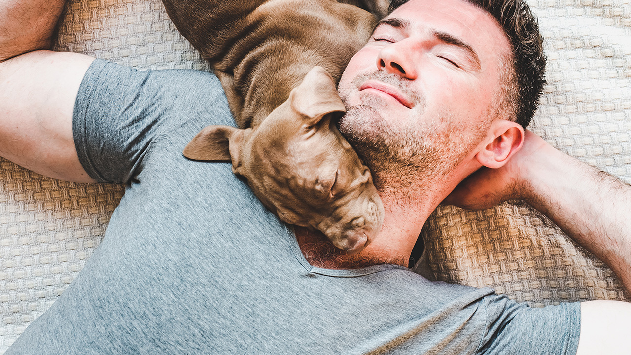 dog an man taking a nap