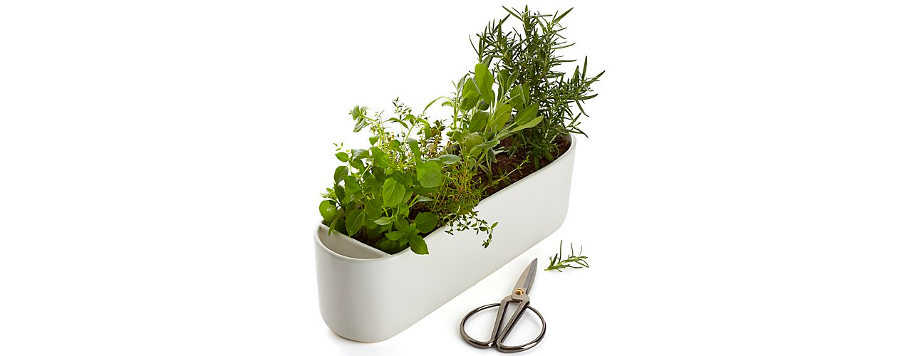 7 inbody Herb Planter with Scissors