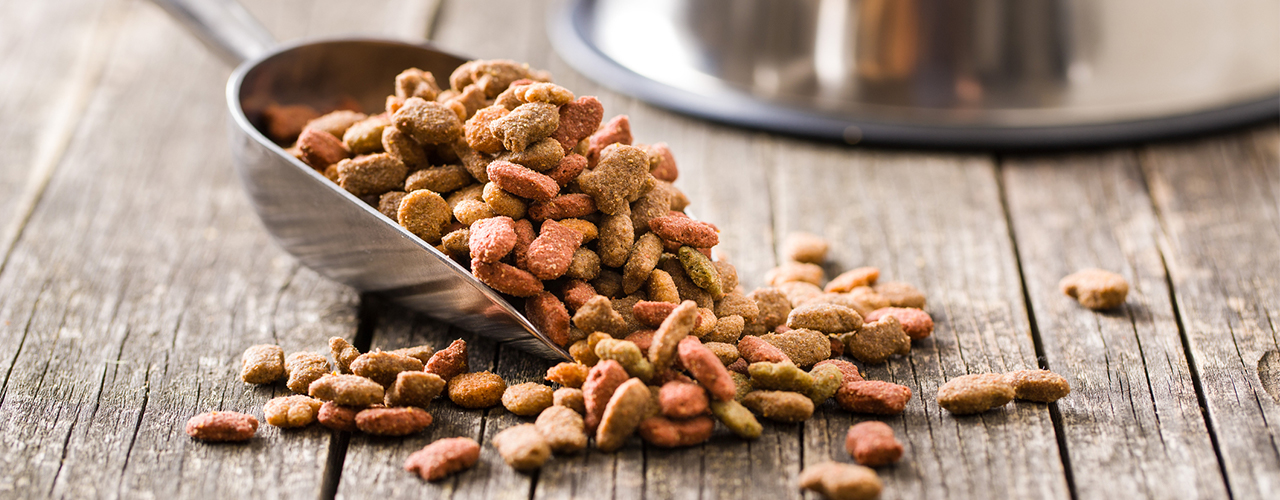 iStock-1131841641 dog food scoop jirkaejc