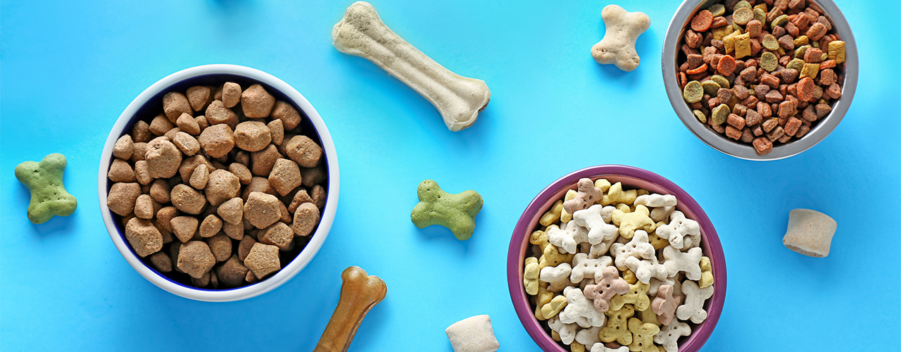 iStock-1136803403 serezniy various dog foods blue background