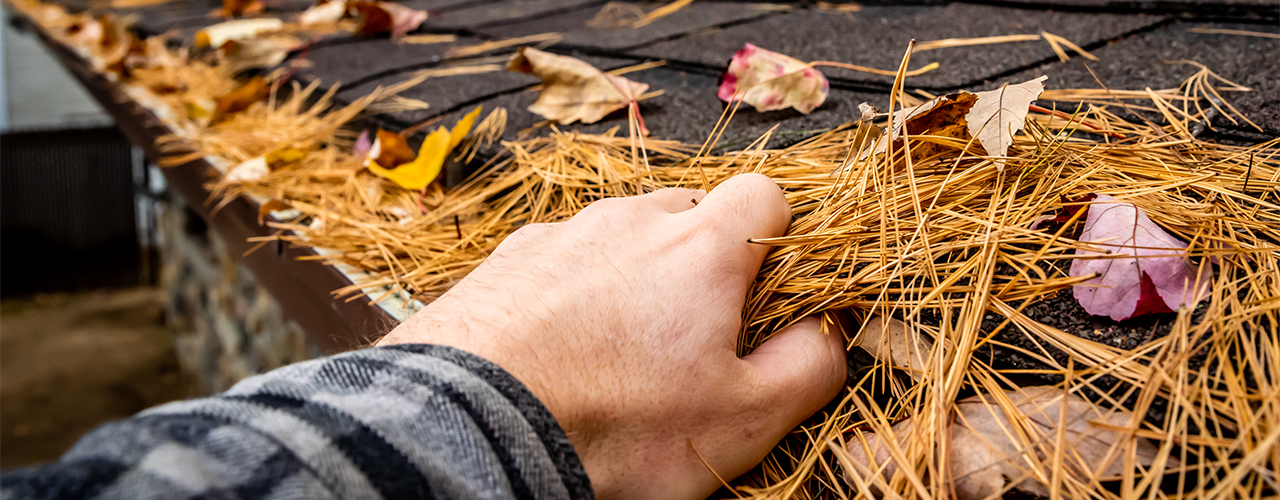 iStock-1160457284 A&J Fotos cleaning gutters home inbody