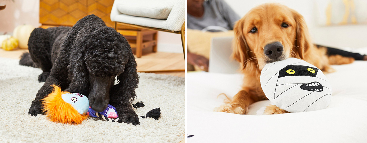 dogs with toys