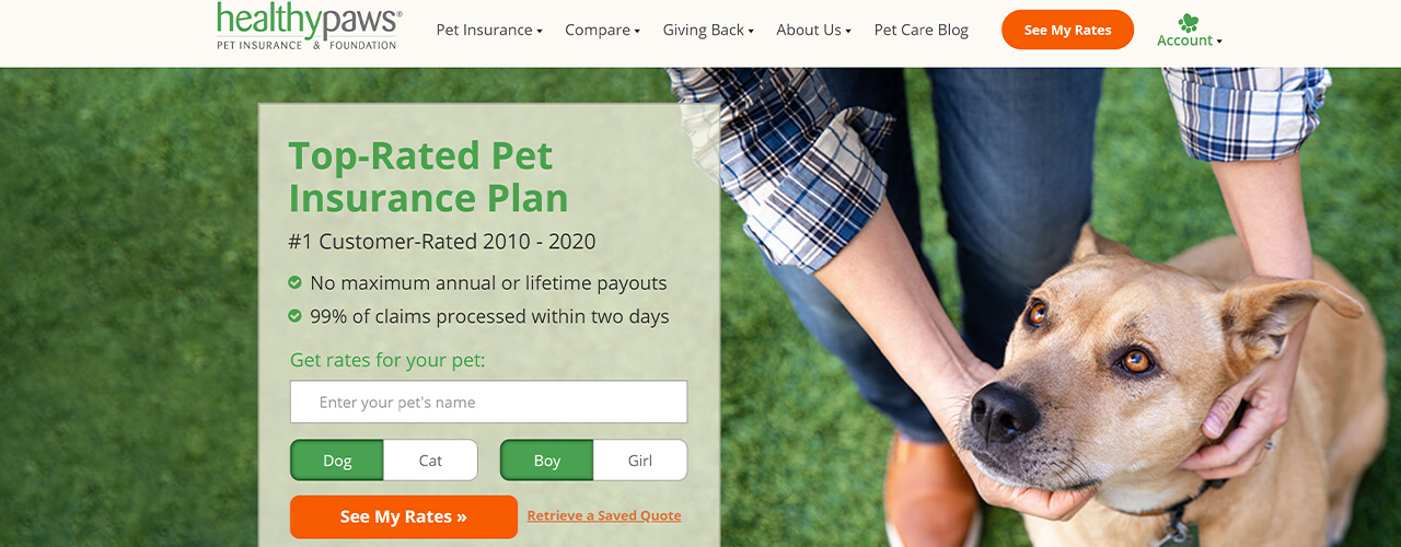healthy paws website