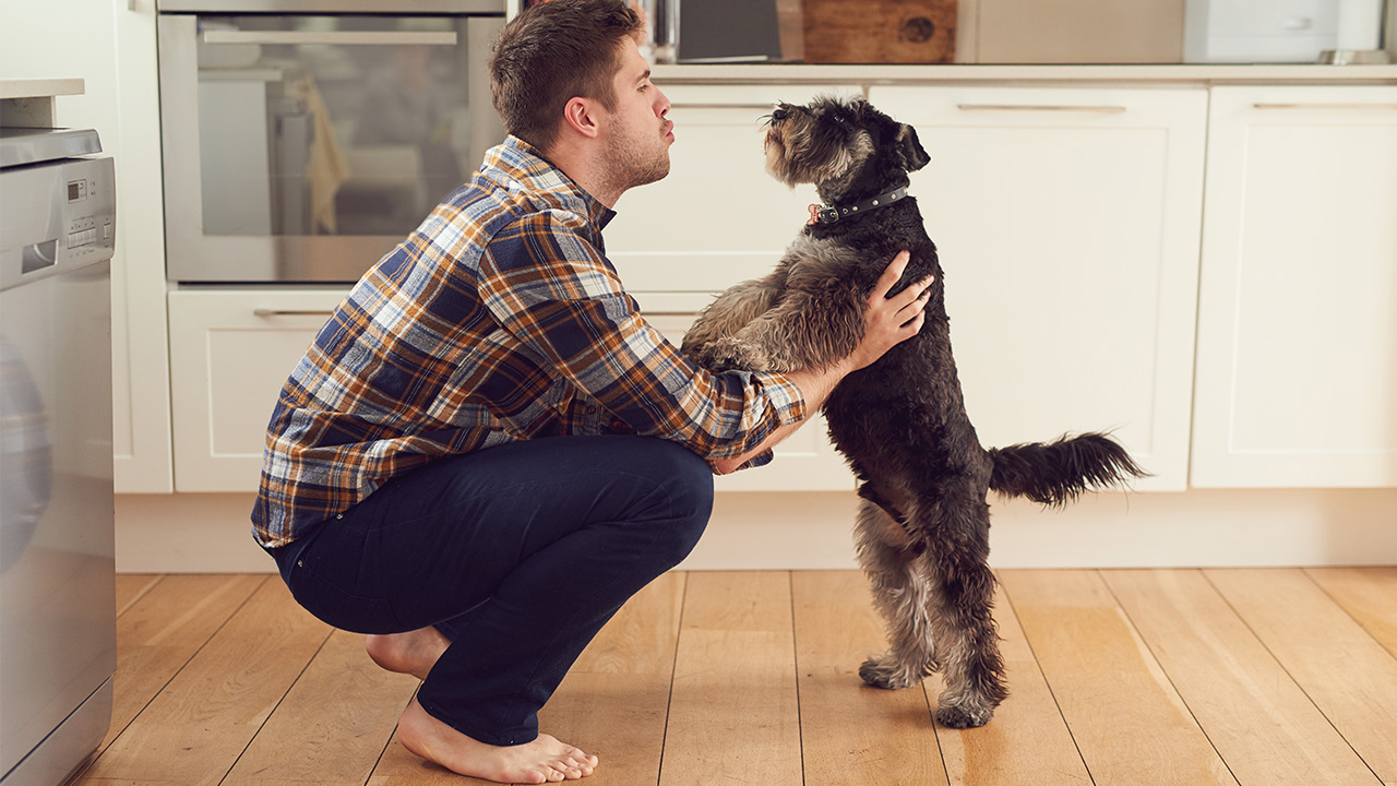 spending time with a pet