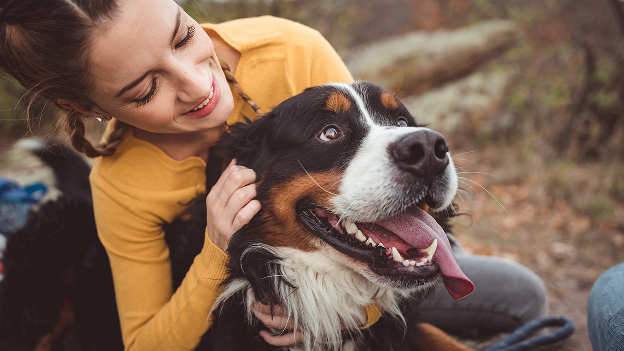 happy pet and owner