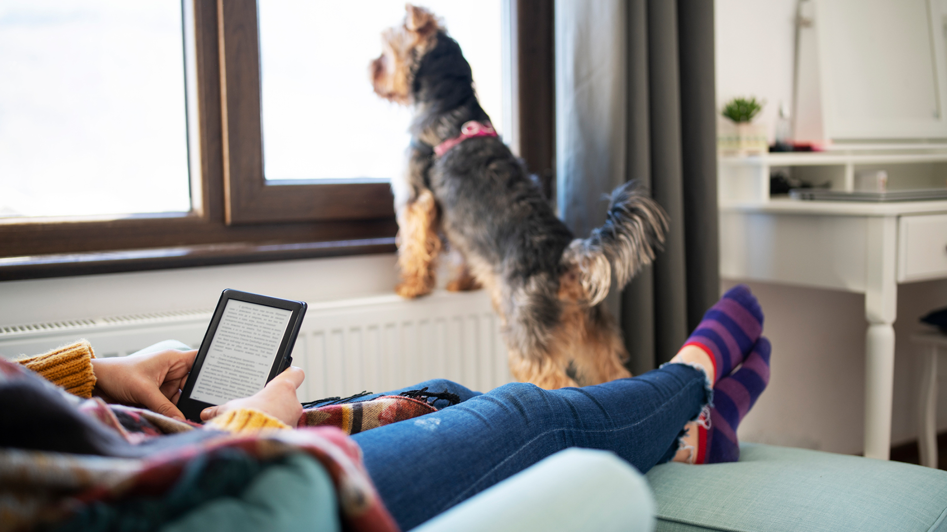 amazon prime kindle unlimited amazon prime kindle unlimited