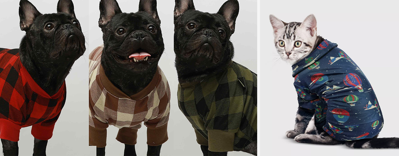 dogs and cat in holiday pj
