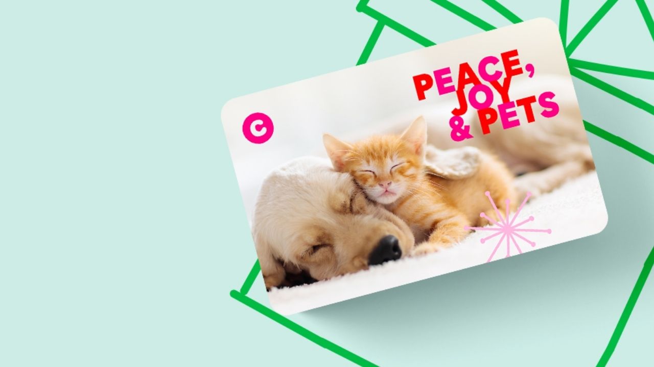 chewy giftcard