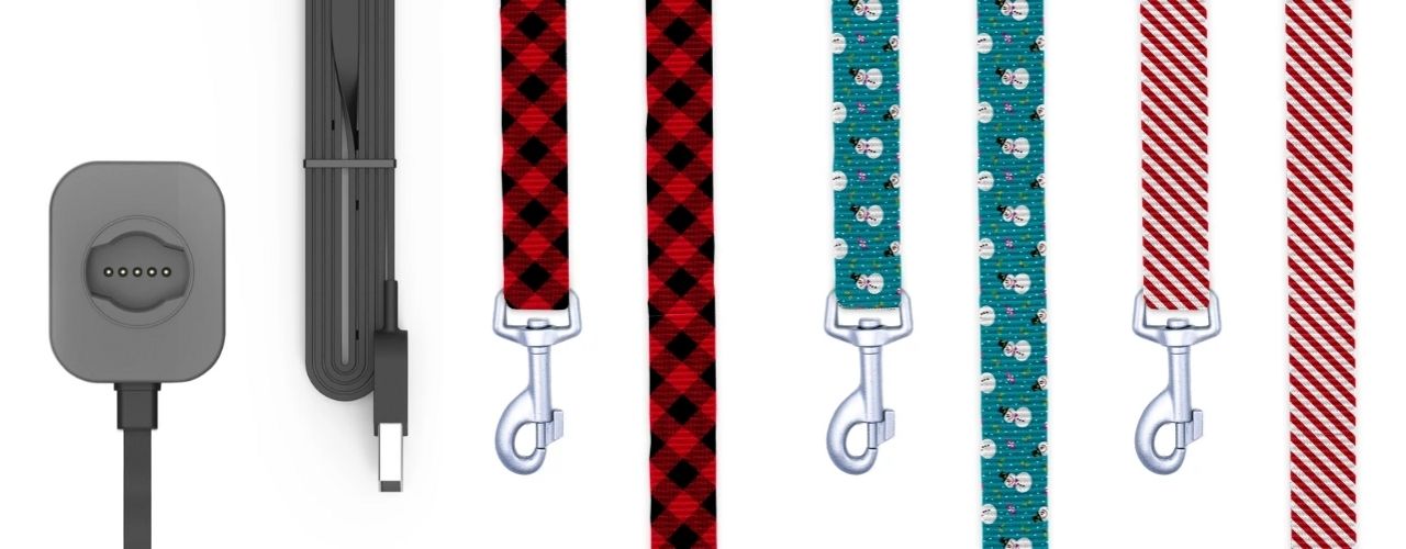 dog collars