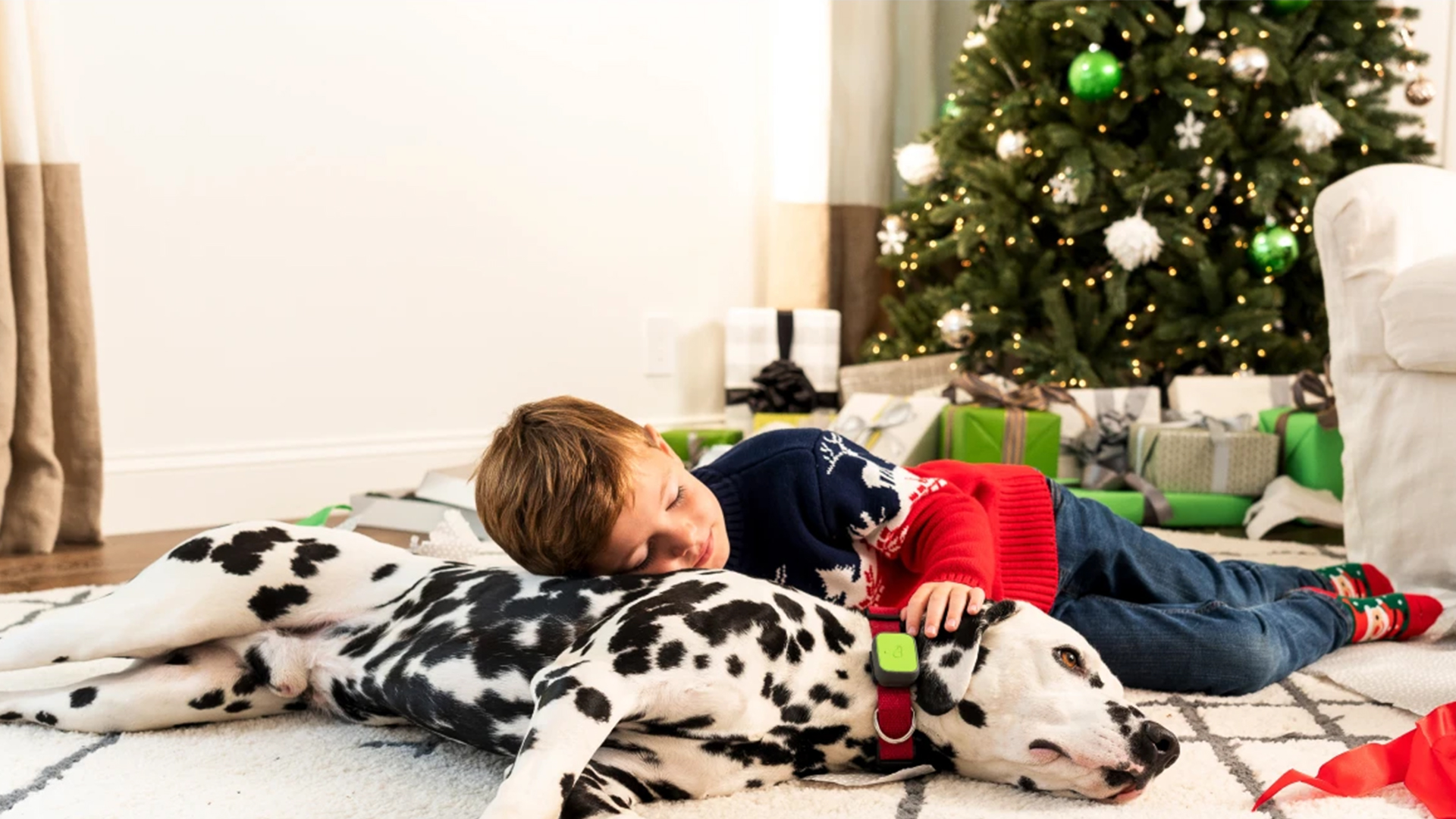 kid snuggling with dog
