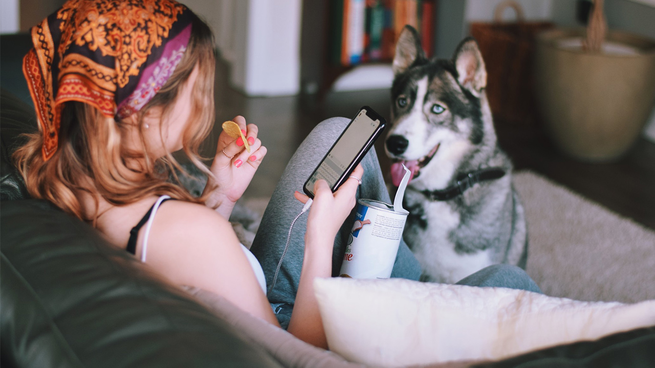 free fitness ap for beginners 1 girl on sofa on phone with waiting husky