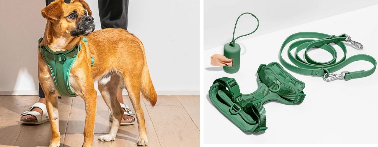 Harness Walk Kit