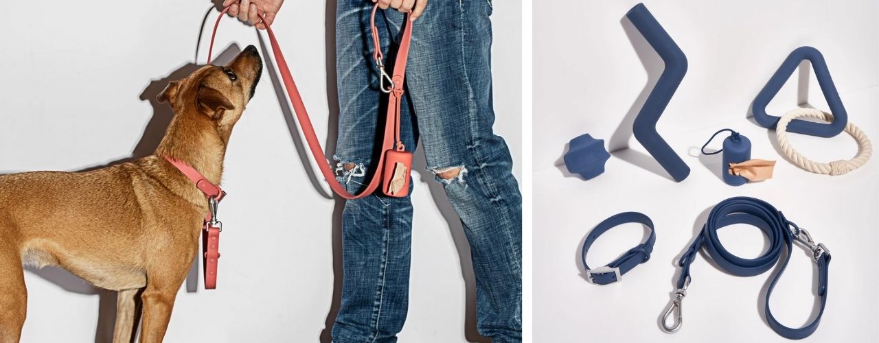 The Collar Walk & Play Kit