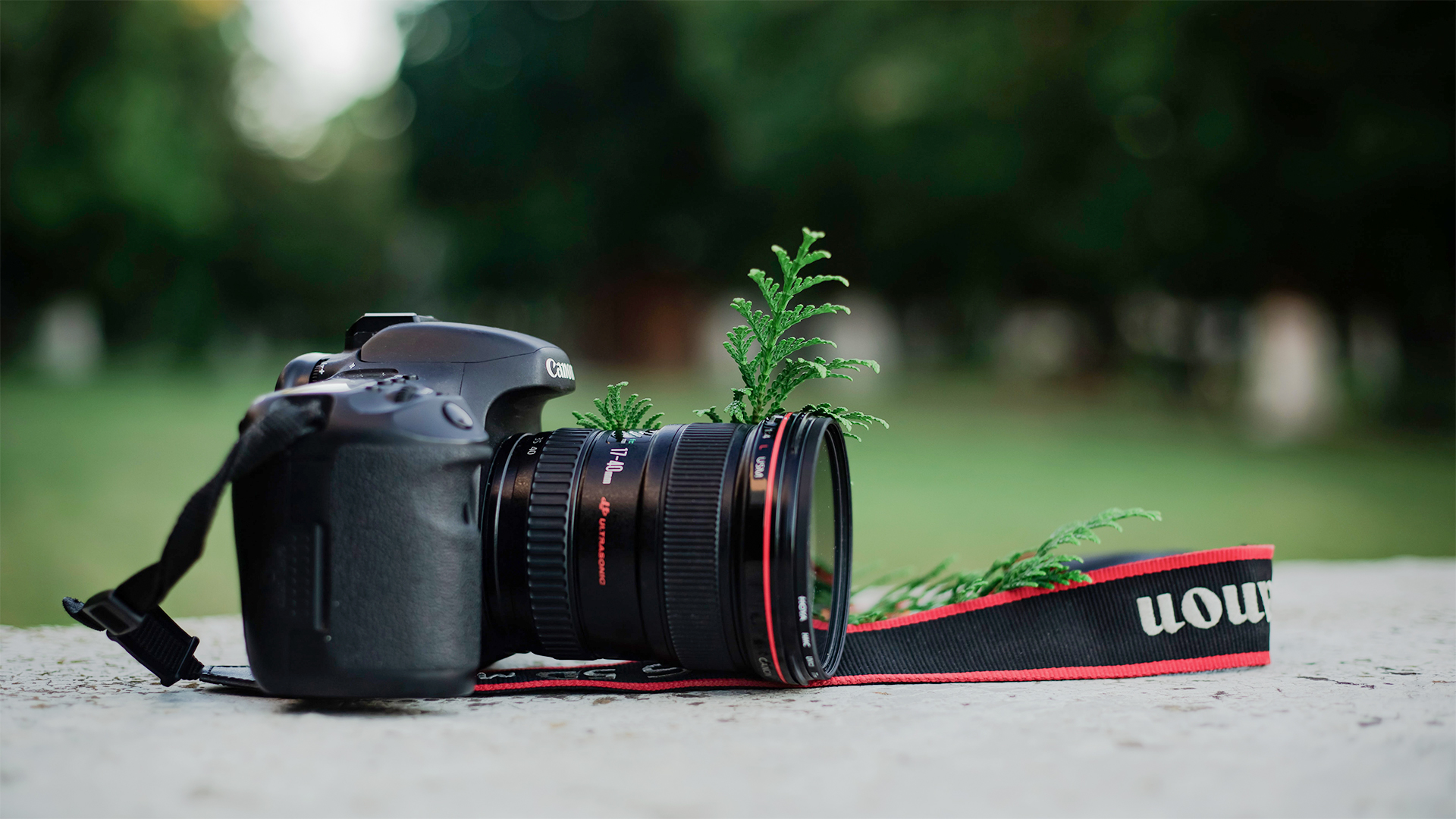 dslr canon camera