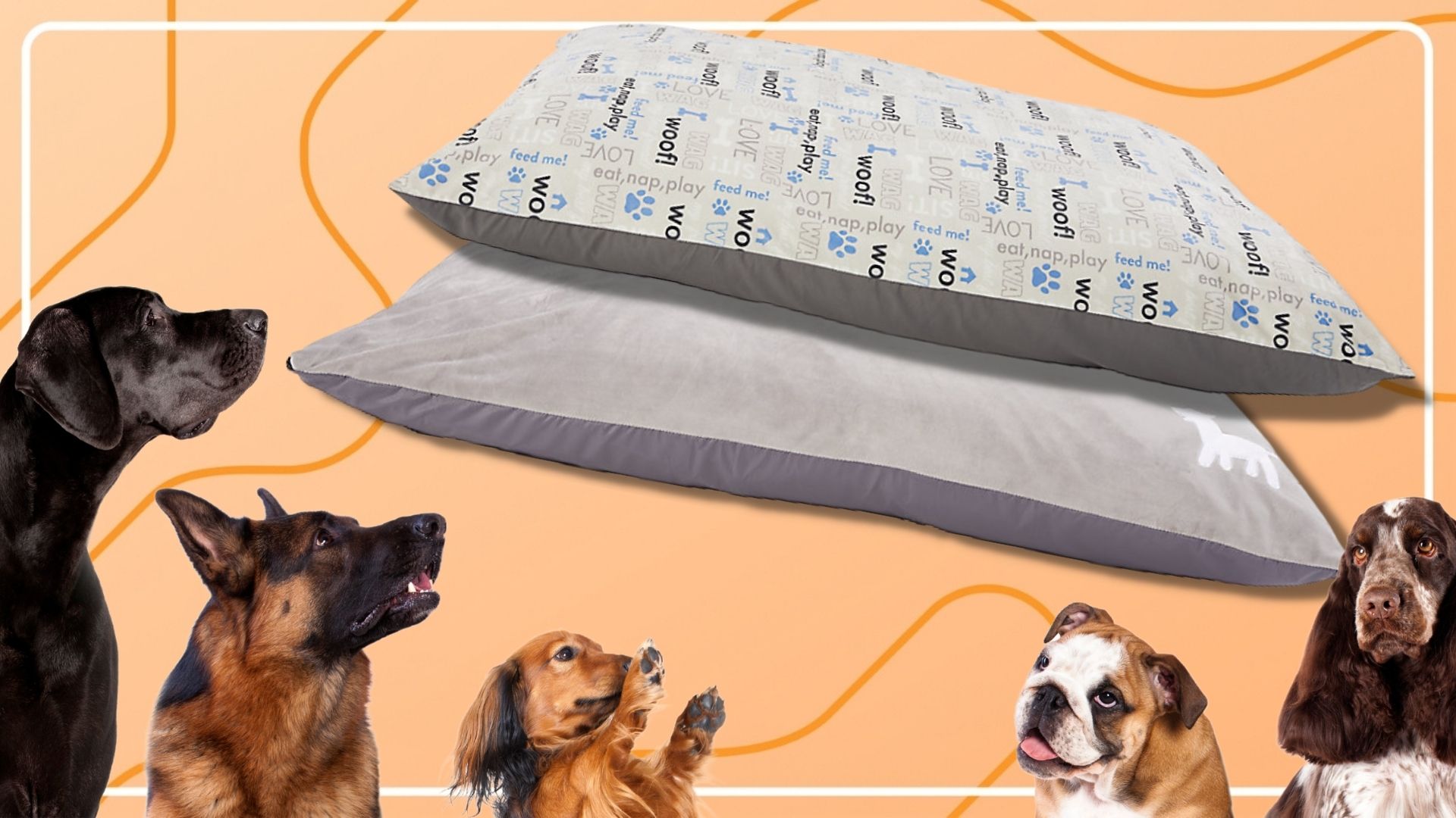 dog bed covers petsmart