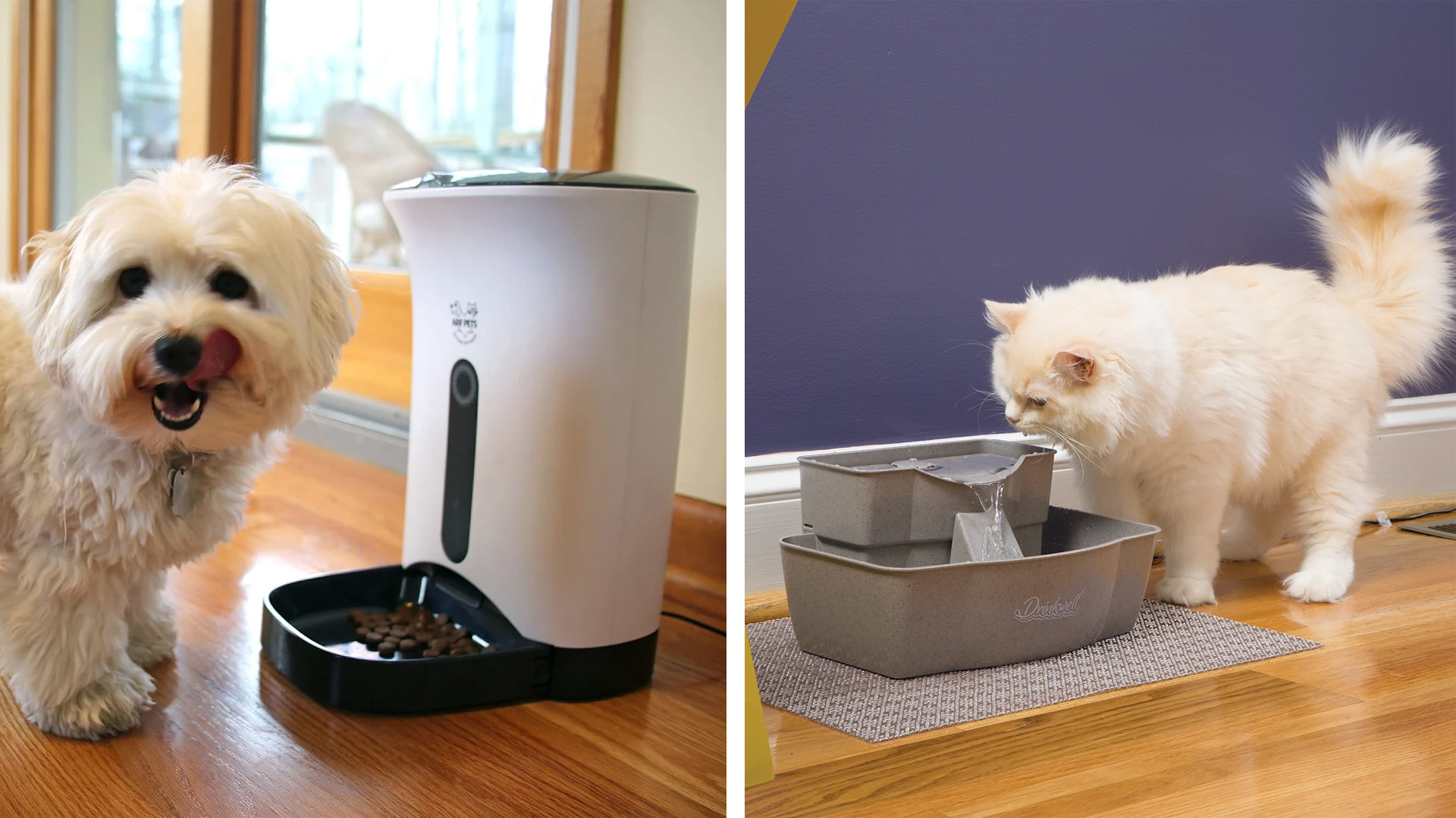 petco feeder