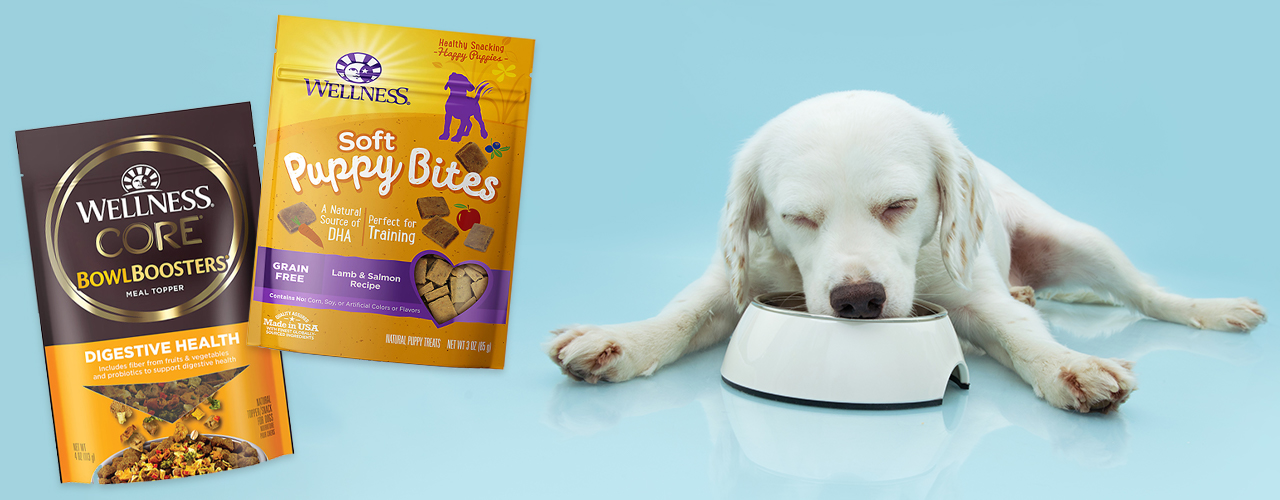 Earn 3x Treats Points during PetSmart's Anything for Dogs Month