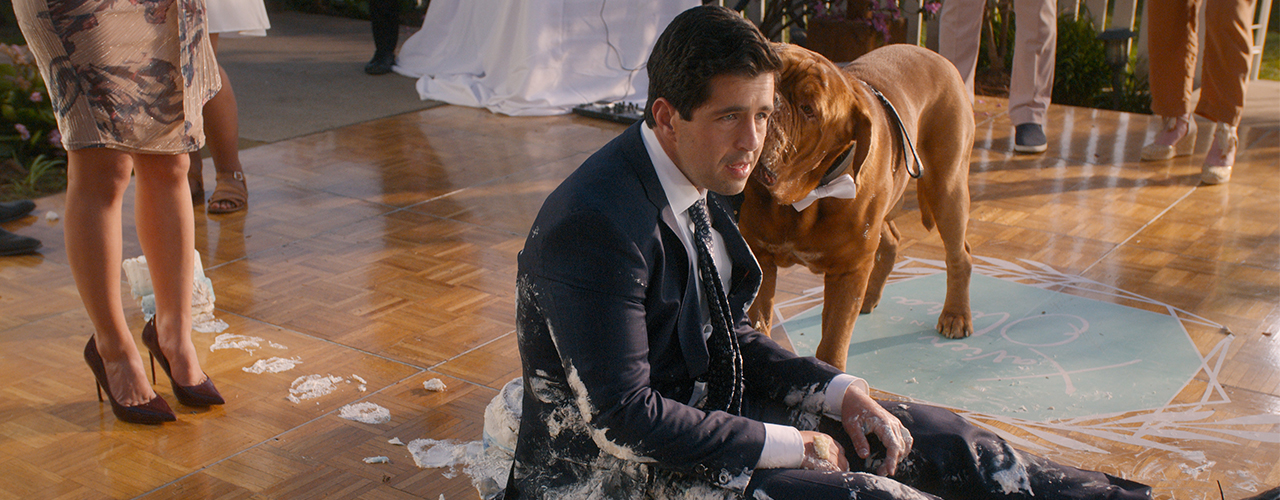 Turner and Hooch