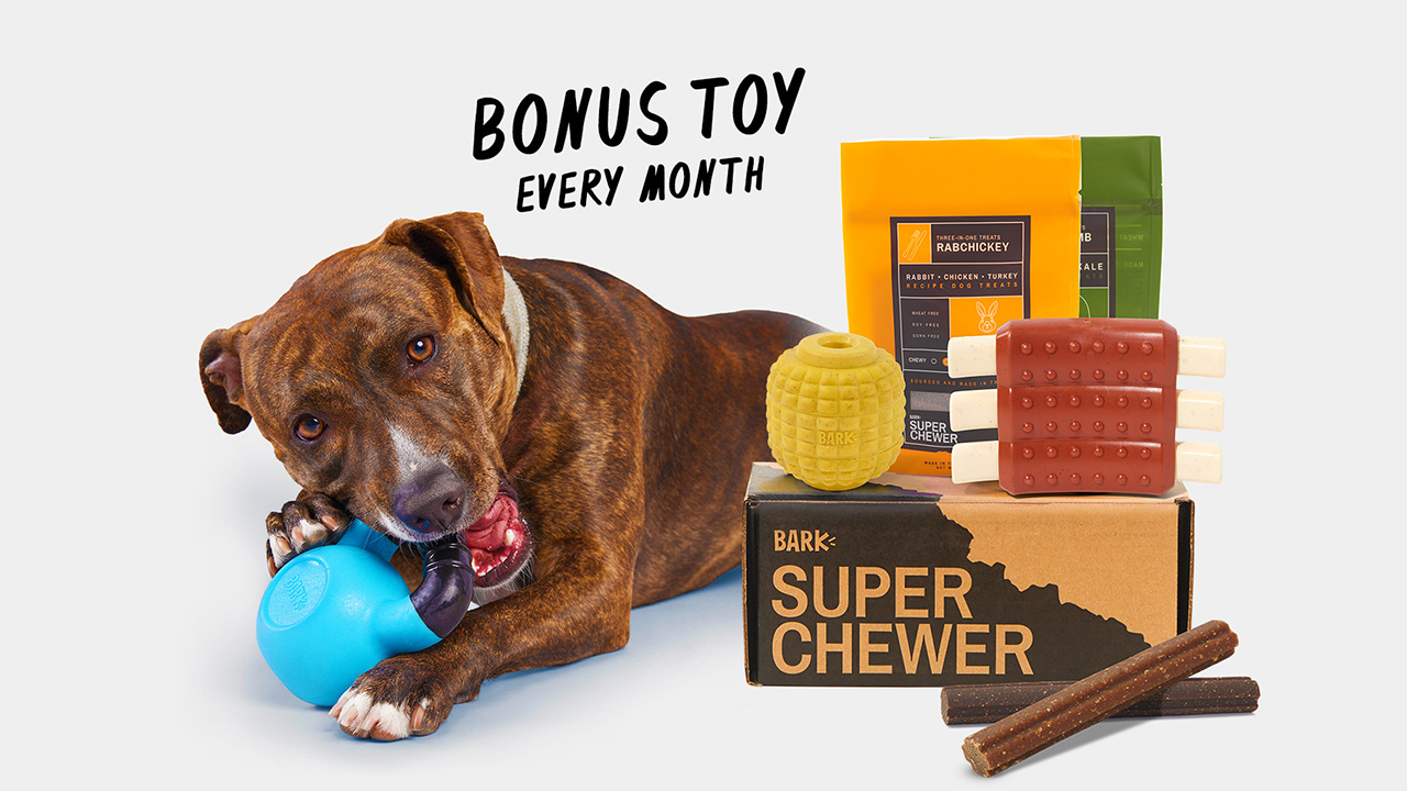 barkbox multi dog discount