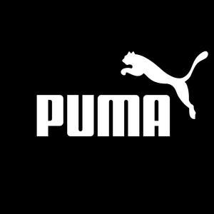 puma shoes on 70 discount
